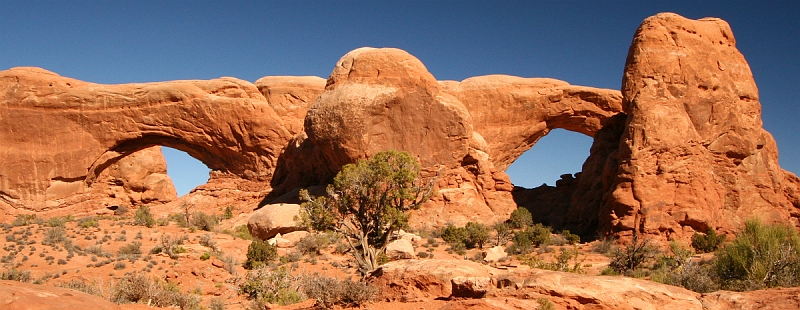  Arches National Park: North Window & South Window