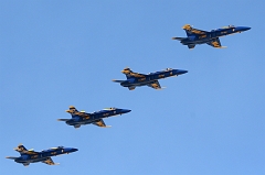 IMG_2393-crop+levels