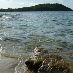 P1000526-straightened8x10