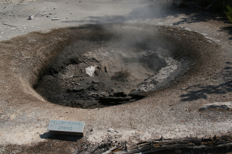 IMG_4734-Norris-YellowFunnelSpring 