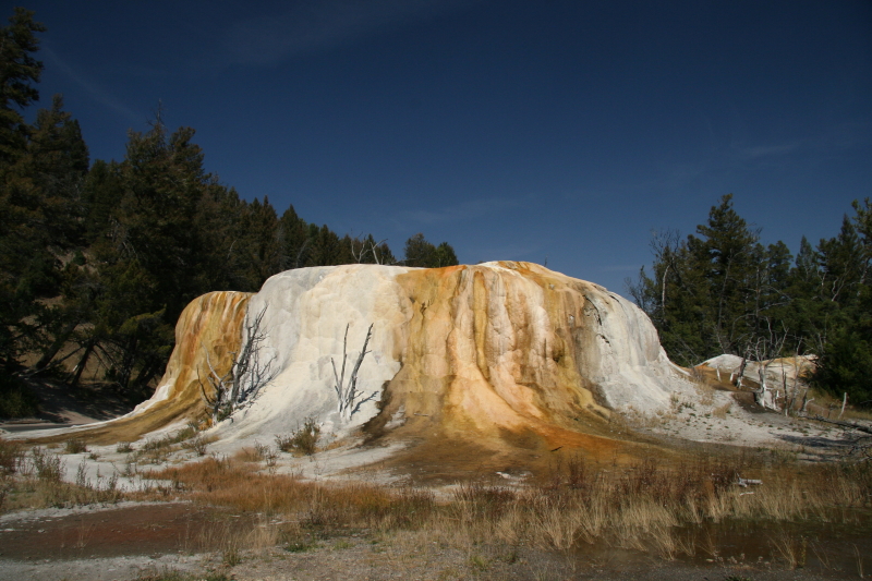 IMG_4863-OrangeSpringMound 