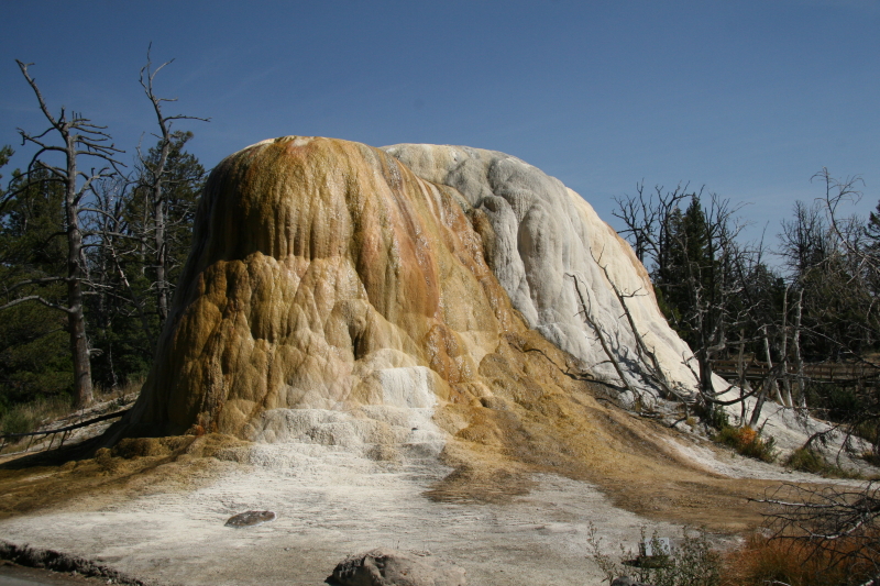 IMG_4864-OrangeSpringMound 