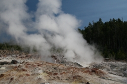 IMG_4720-Norris-SteamboatGeyser 